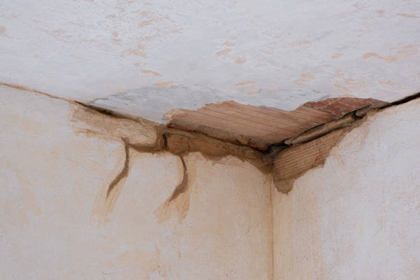 Best Water damage restoration specialists  in North Hobbs, NM