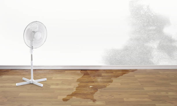 Professional Water damage restoration in North Hobbs, NM