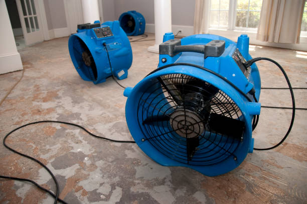 Best Flooded house restoration  in North Hobbs, NM